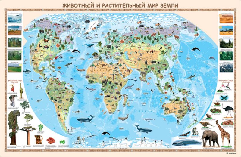 Животный и растительный мир Земли. Карта для детей  ламинированная 100*66