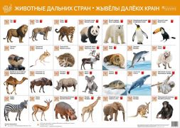Животные дальних стран. Жывелы далекіх стран. Интерактивный плакат