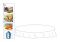ШП. Изобразительное искусство 4 класс. Альбом заданий со шкалой самооценки (цвет, блок)