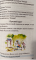 Внеклассное чтение. 2 класс. Хрестоматия 1 полугодие. Вопросы к тексту.  Кроссворды. Филворды. ГРИФ