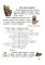 З iмi слаўна забаўляцца, iмi добра любавацца. Факультатыўныя заняткi "Вытокi роднай мовы". 1 клас.  Рабочы сшытак ГРИФ